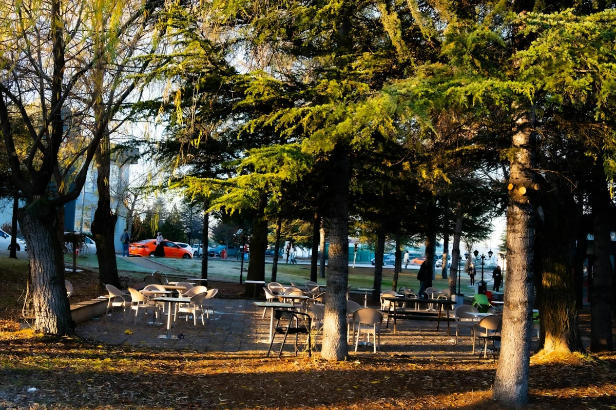 Tree-lined outdoor gathering area at Hacettepe University’s Beytepe campus